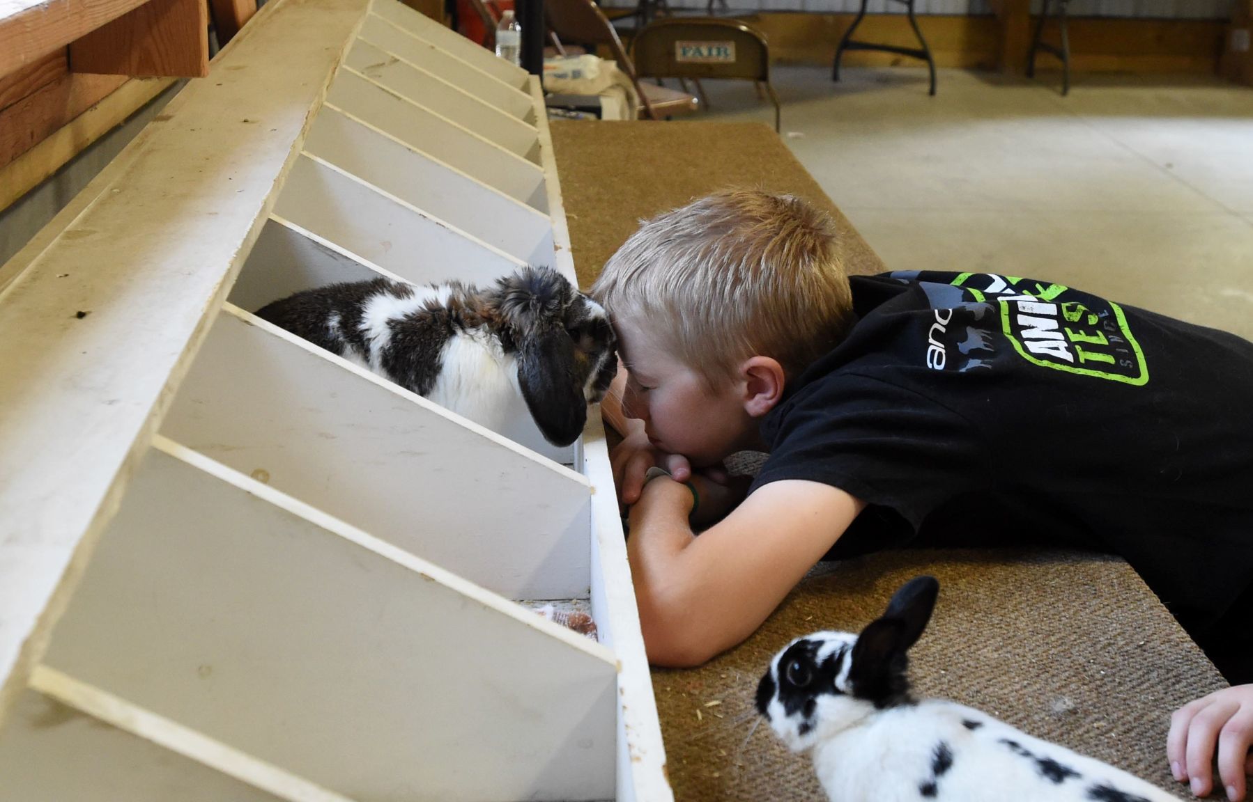 Racine County Fair 2019